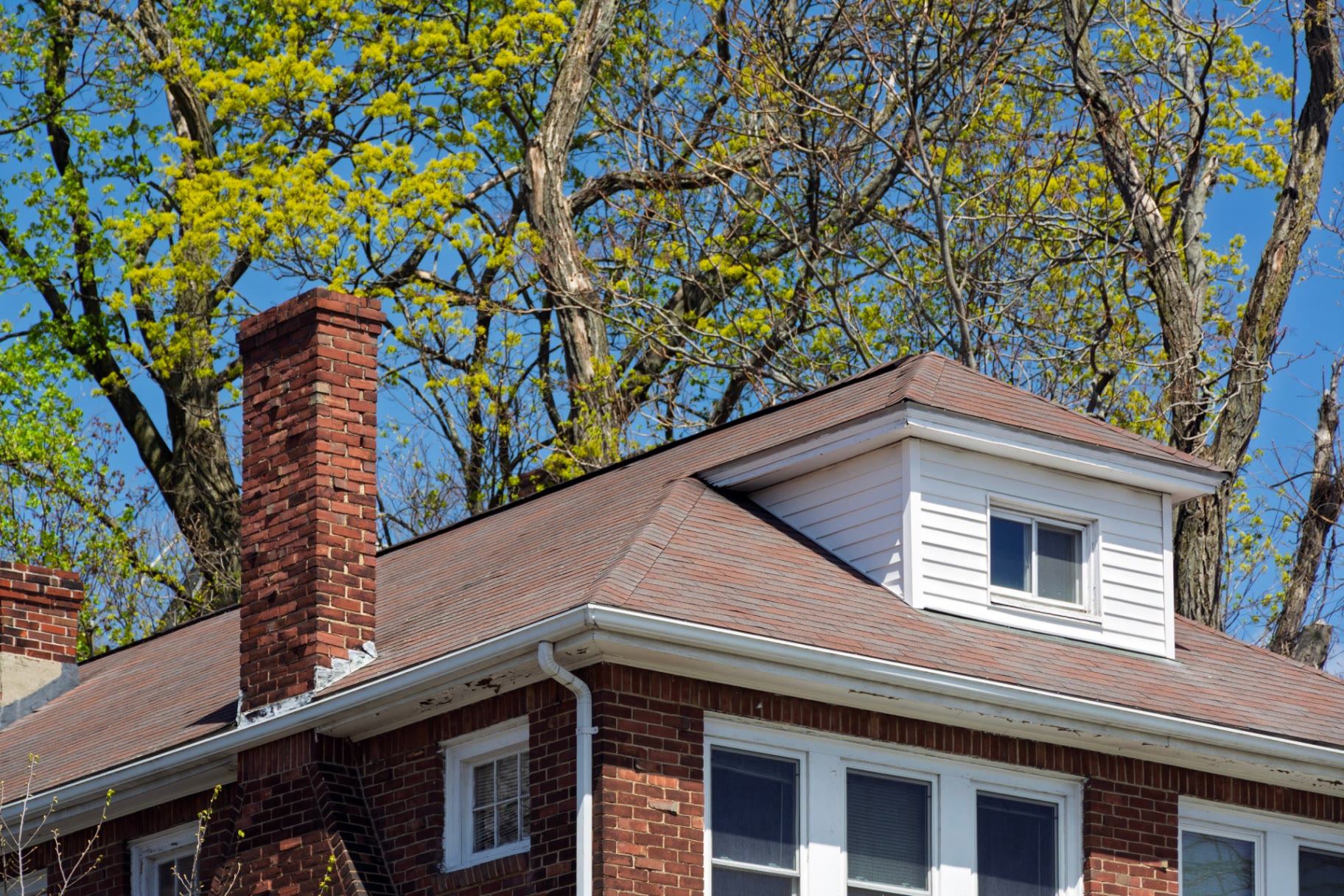 Roofline, chimney and gutters of a brick house below overhanging tree branches